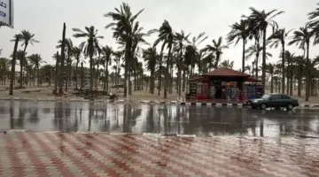 الأرصاد: منخفض جوي جديد والأمطار متواصلة على القاهرة والجيزة | عاجل